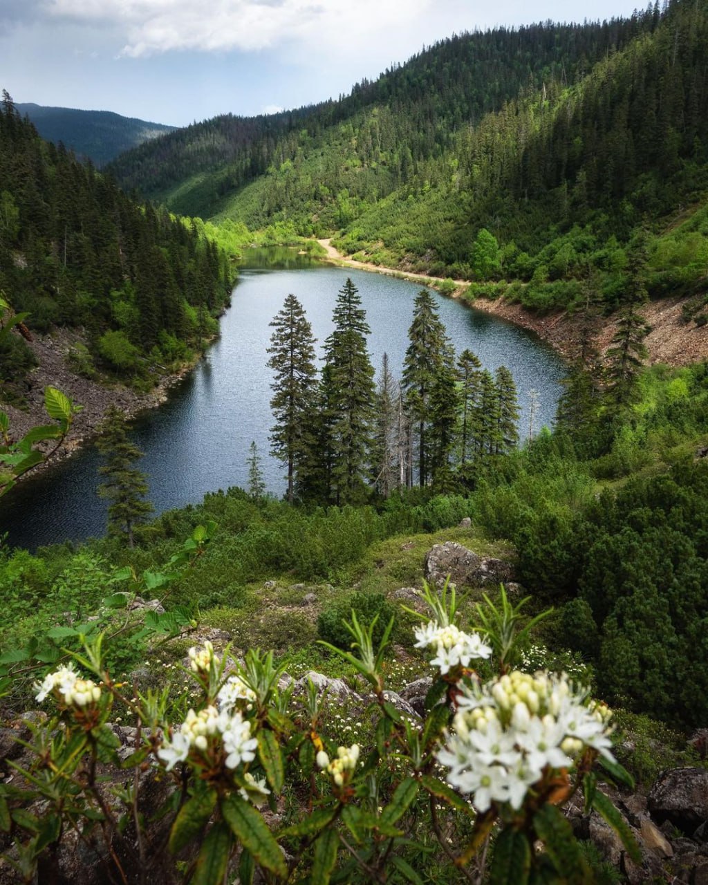 озеро амур